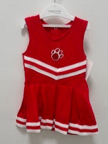 Tiger Cheer Dress