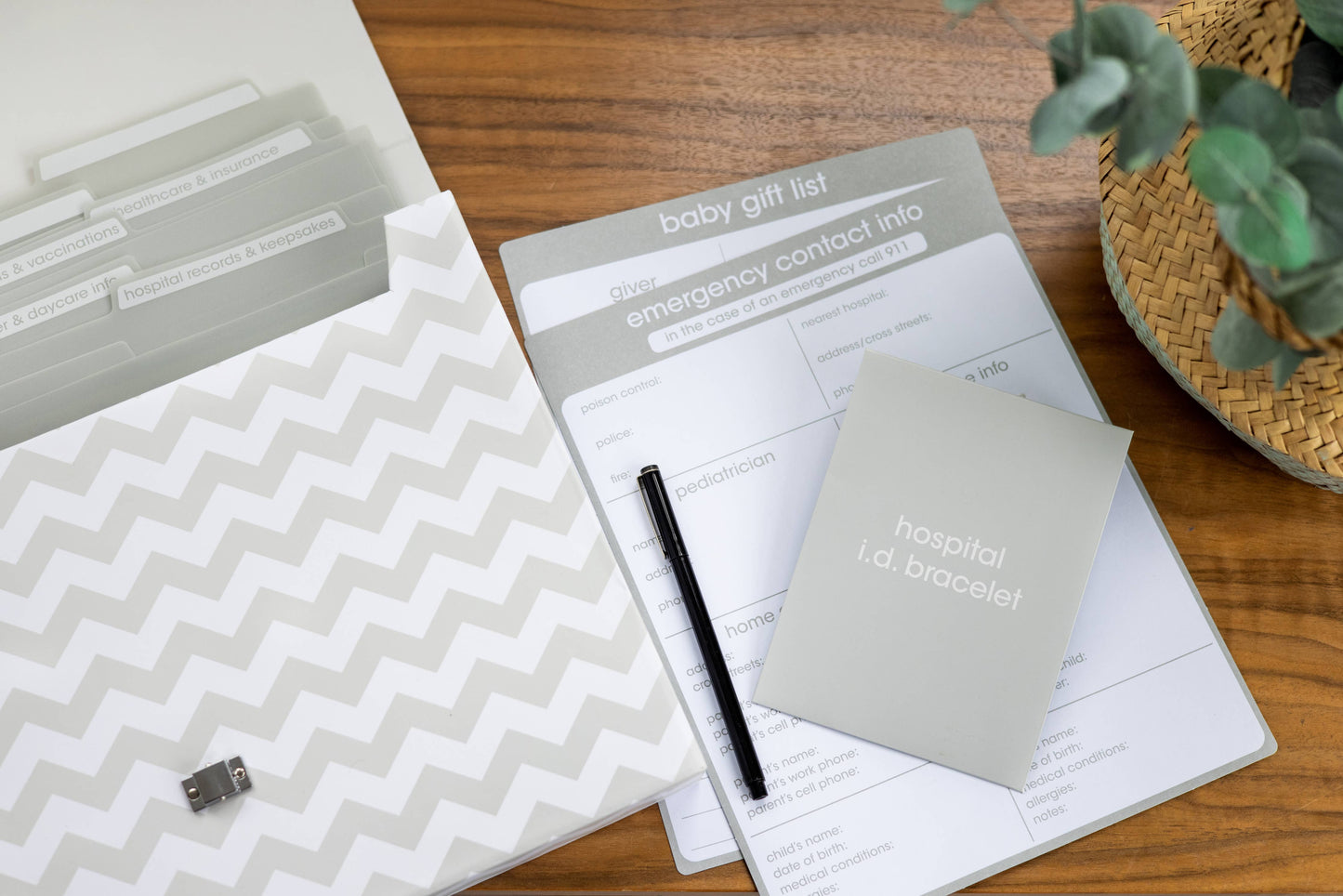 Baby Document Organizer