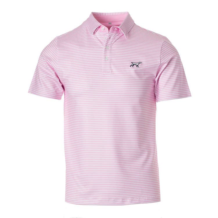 The Marshall Polo