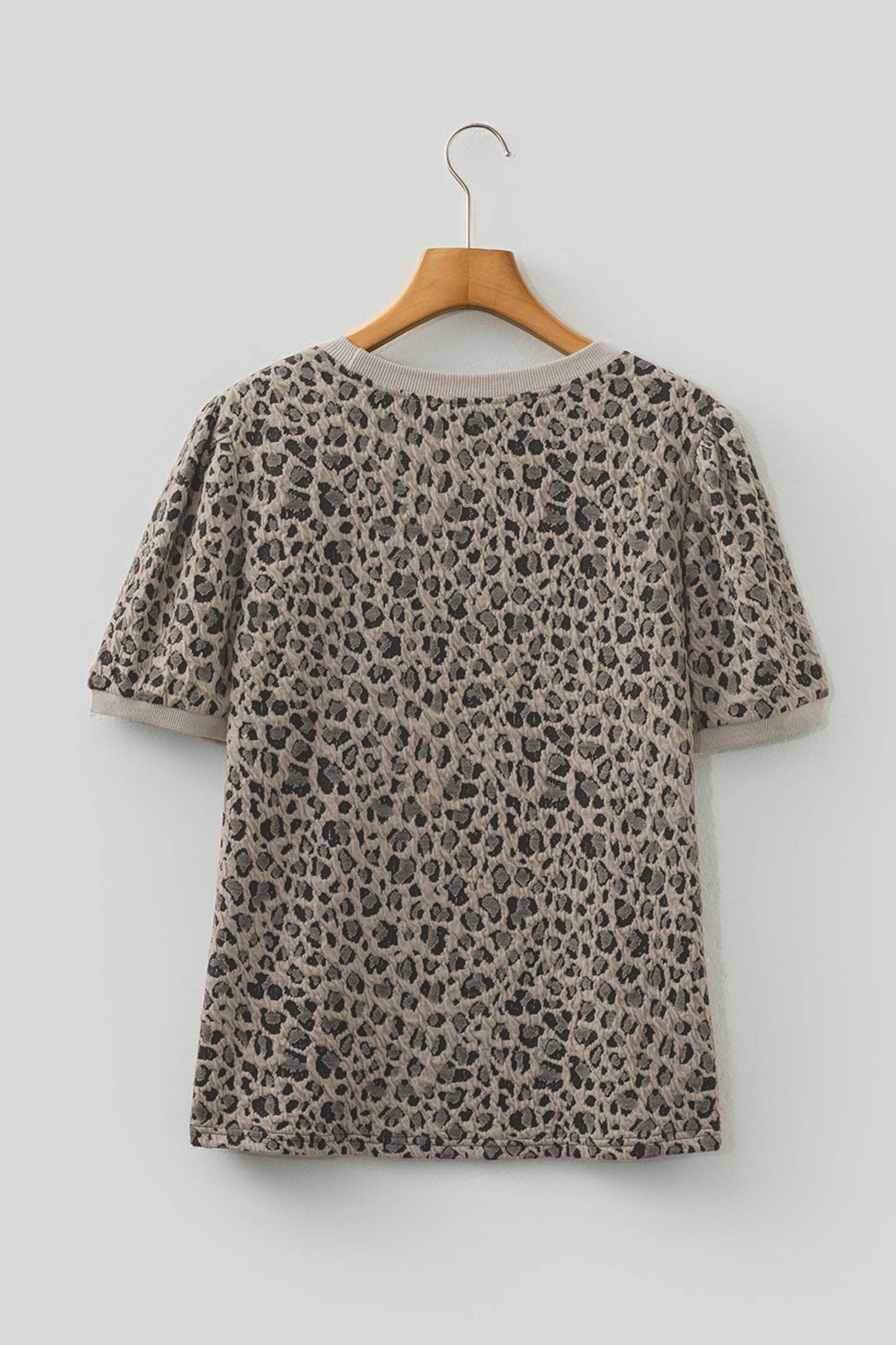 Textured Leopard Print Crew Neck Short Sleeve Top (S-4X)
