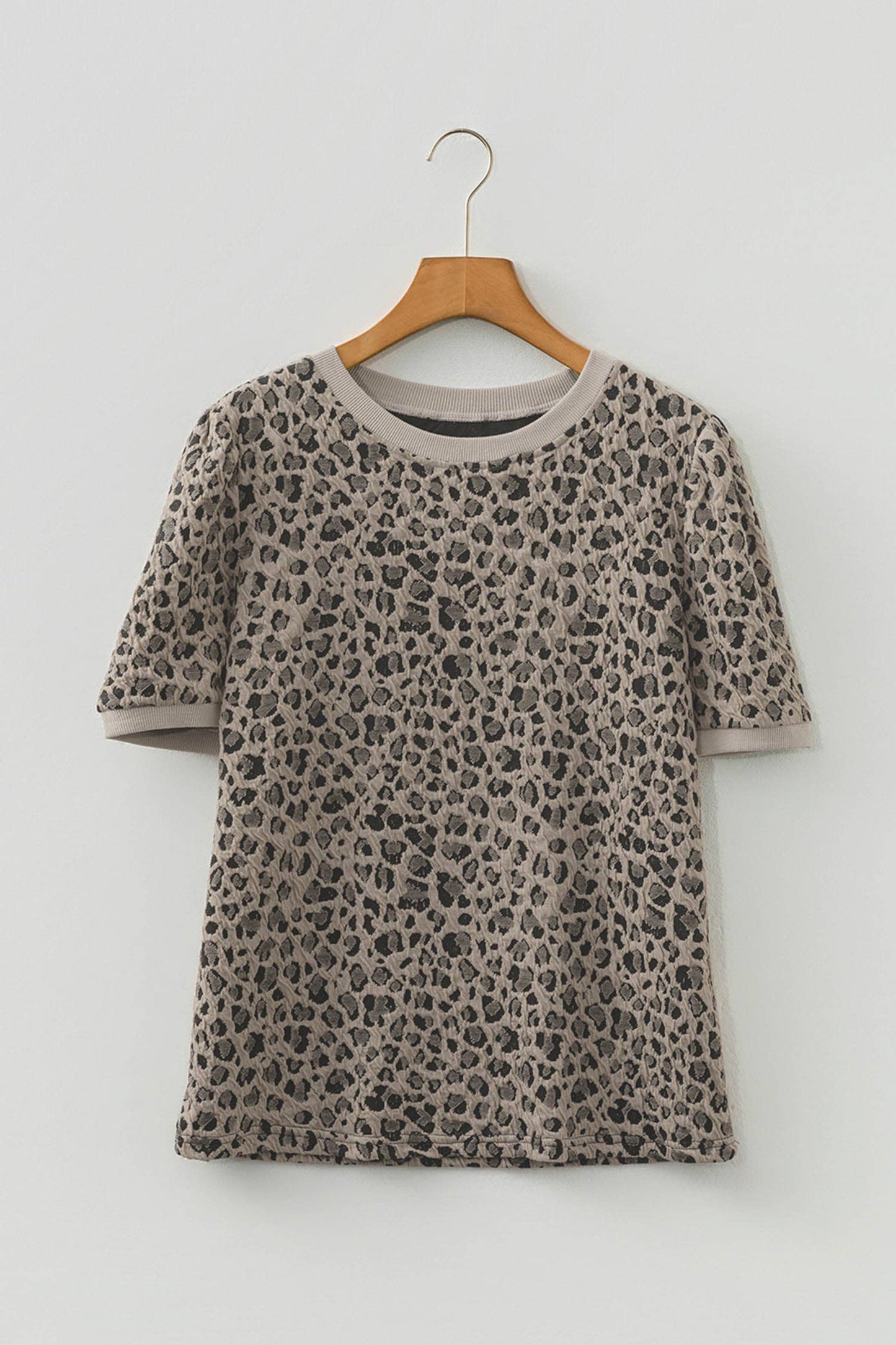 Textured Leopard Print Crew Neck Short Sleeve Top (S-4X)