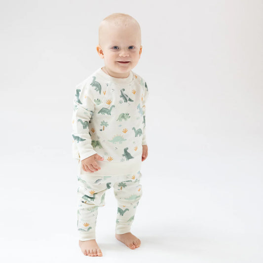 Soft Dino - Jogger Set